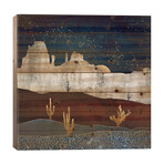 Moonlit Desert // SpaceFrog Designs (26"H x 26"W x 1.5"D)