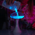 Mushlume UFO // Living Bioluminescent Aquarium