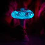 Mushlume UFO // Living Bioluminescent Aquarium