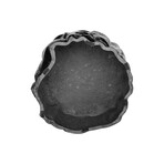 Amsterdam Coffee Table