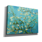 Almond Blossoms by Vincent Van Gogh (circa 1890) (18"H x 16"W x 0.75"D)