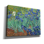 Irises by Vincent van Gogh (18"H x 26"W x 0.75"D)