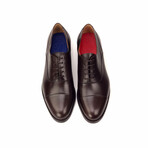 Dorchester Oxford // Chocolate (Euro: 39)