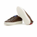 Braided Sneaker Blucher // Brown (Euro: 39)