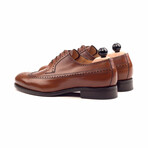 Academy Longwing Blucher // Cognac (Euro: 39)
