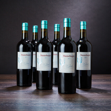 93 Point Yacochuya Argentinian Malbec // 6 Bottles + Collector's Box // 750 ml Each