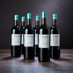 93 Point Yacochuya Argentinian Malbec // 6 Bottles + Collector's Box // 750 ml Each