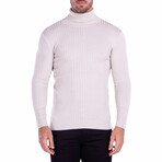 Ribbed Turtleneck Sweater // Beige (L)