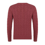 Geoff V-Neck Sweater // Bordeaux (XS)
