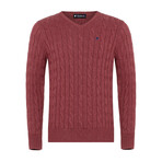 Geoff V-Neck Sweater // Bordeaux (XL)