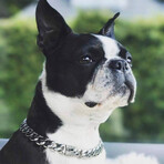 The Madison Dog Collar (Length 7")