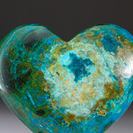 Genuine Polished Gemmy Chrysocolla Heart + Acrylic Display Stand