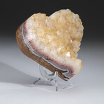 Genuine Citrine Clustered Heart + Acrylic Display Stand