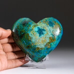 Genuine Polished Gemmy Chrysocolla Heart + Acrylic Display Stand