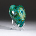 Genuine Polished Gemmy Chrysocolla Heart + Acrylic Display Stand