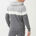 350130 SWEATSHIRT // Gray (Small)