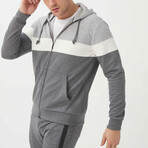 350130 SWEATSHIRT // Gray (Small)