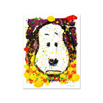 Squeeze The Day // Thursday