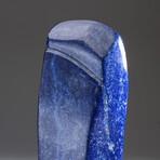 Genuine Polished Lapis Lazuli Freeform V1