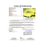 Jack Nicklaus // Signed 2001 Masters Golf Pin Flag (JSA LOA)