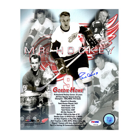 Gordie Howe // Signed Detroit Red Wings Career Collage