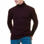 Patrick Turtleneck Sweater // Burgundy (S)
