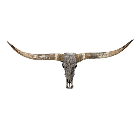 Carved Longhorn Skull // Gray Feathers