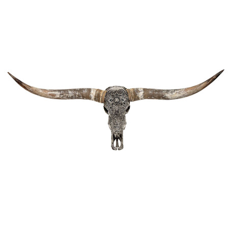 Carved Longhorn Skull // Gray Mandala