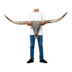 Carved Longhorn Skull // Gray Feathers