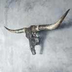 Carved Longhorn Skull // Gray Mandala