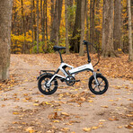 Dasher Foldable Bicycle // Charcoal (Silver)