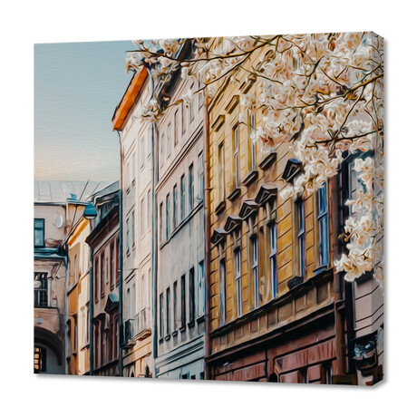 Blooming Cherry On The Street Of The Old City. (12"H x 12"W x 0.75"D)