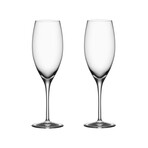 Premier // Champagne Glasses // Set of 2