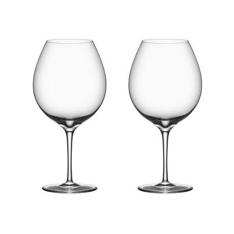 Premier Pinot Noir Glasses // Set of 2