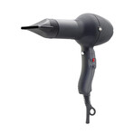 Absolute Power Tourmaline // Ionic Professional Hair Dryer (Silver)