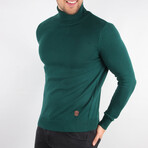 Anthony Regular Fit Turtleneck Sweater // Green (Medium)