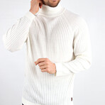 Slim Fit Turtleneck Sweater // Ecru White (Medium)