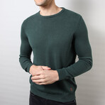 Regular Fit Crew Neck Sweater // Green (Medium)