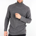 Slim Fit Turtleneck Sweater // Gray (Medium)