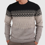 Slim Fit Crew Neck Sweater // Black + Mink (Medium)