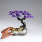 The Empowerment Tree // Amethyst Clustered Gemstone Tree + Citrine Matrix // Custom