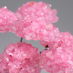 The Love Tree // Rose Quartz Clustered Gemstone Tree + Amethyst Matrix // Custom