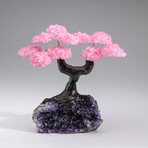 The Love Tree // Rose Quartz Clustered Gemstone Tree + Amethyst Matrix // Custom