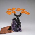 The Money Tree // Citrine Clustered Gemstone Tree + Amethyst Matrix // Custom v.1