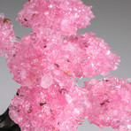 Rose Quartz Clustered Gemstone Tree + Rose Quartz Matrix // Custom