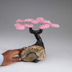 The Comfort Tree // Rose Quartz Clustered Gemstone Tree + Citrine Matrix // Custom