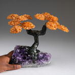 The Money Tree // Citrine Clustered Gemstone Tree + Amethyst Matrix // Custom