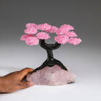 Rose Quartz Clustered Gemstone Tree + Rose Quartz Matrix // Custom