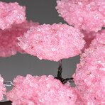 Rose Quartz Clustered Gemstone Tree + Druzy Quartz Matrix // Custom