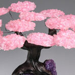 The Love Tree // Rose Quartz Clustered Gemstone Tree + Amethyst Matrix // Custom v.1